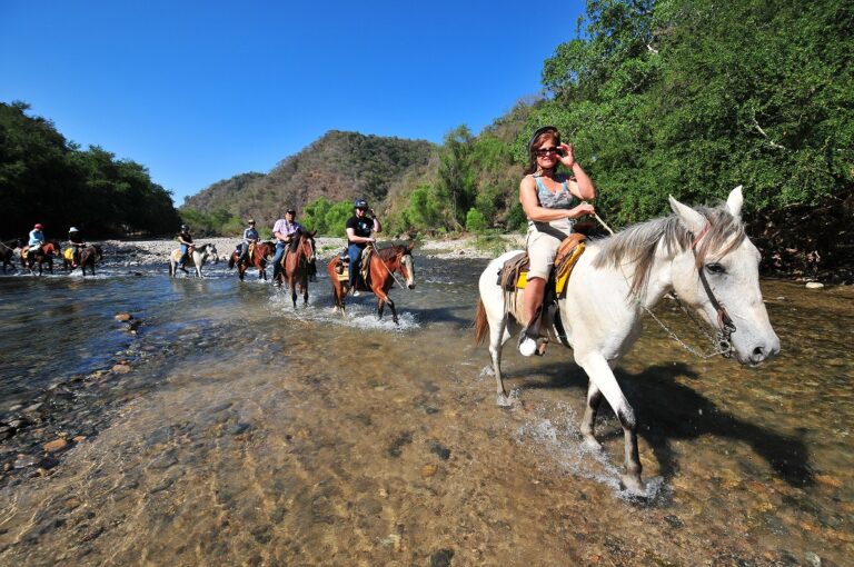 Land-Based Day Trips and Activities